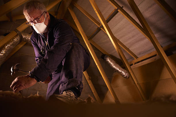 Best Energy Efficiency Insulation in Royal Pines, NC
